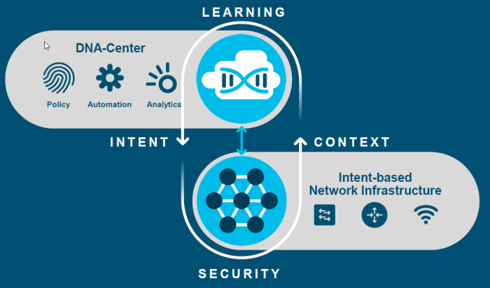 2017-07-05 14_38_42-DNA for CL Vegas.pdf - Adobe Reader